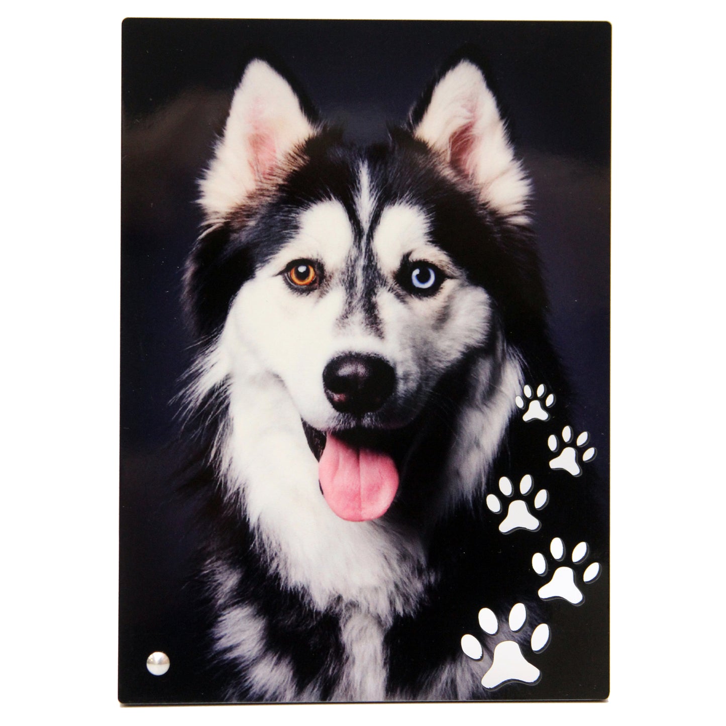 Cornice chromalux frame ZAMPE