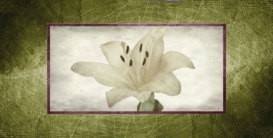 ${gadget_personalizzati}