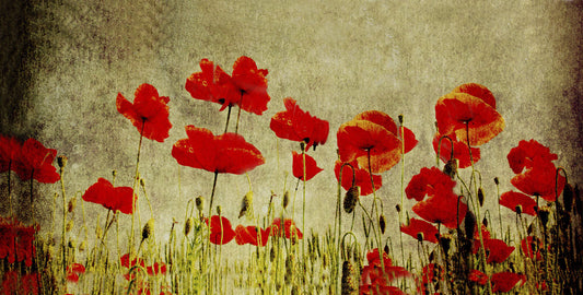 ${gadget_personalizzati}