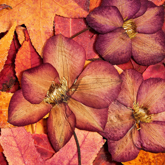 ${gadget_personalizzati}