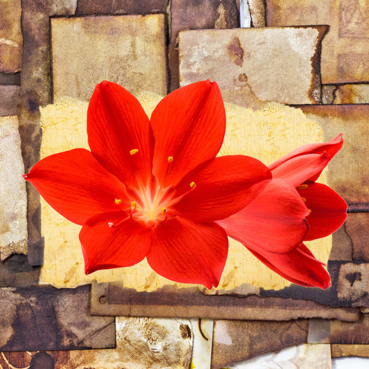 ${gadget_personalizzati}