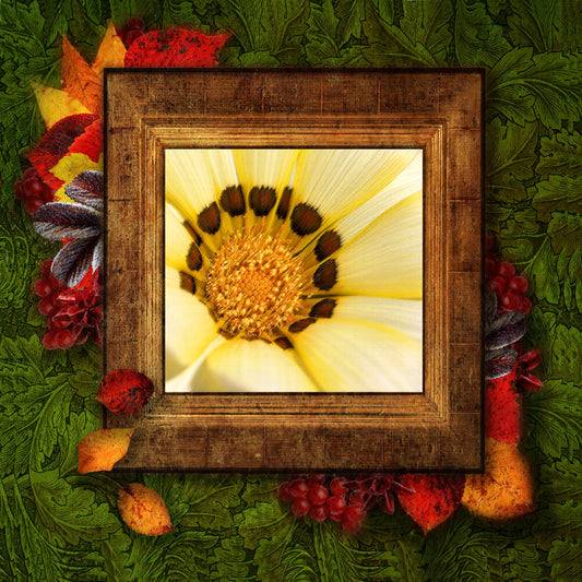 ${gadget_personalizzati}