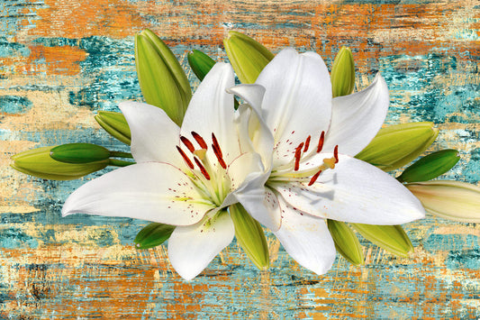 ${gadget_personalizzati}