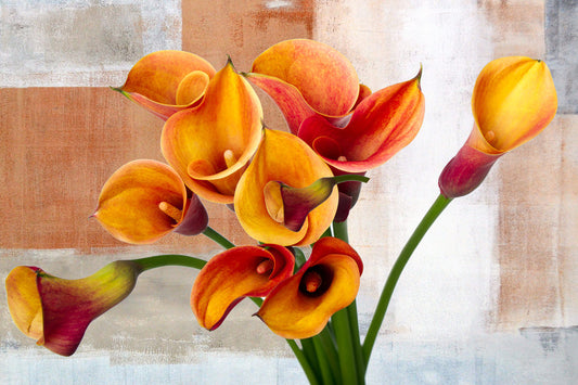 ${gadget_personalizzati}