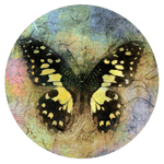 Slipmats 33 TB-1023 - Panno feltro giradischi - Butterfly